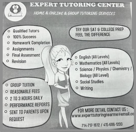 Expert Tutoring flyer